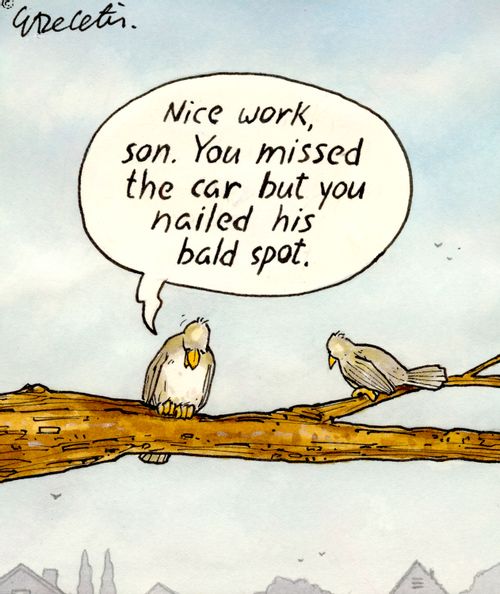 "Nice work, son. You missed the car but you nailed his bald spot."