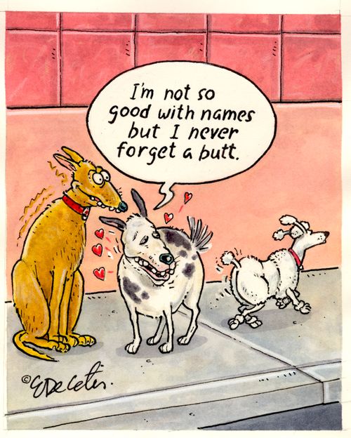 "I'm not so good with names but I never forget a butt."