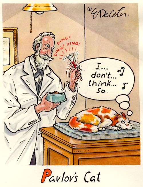 Pavlov's Cat