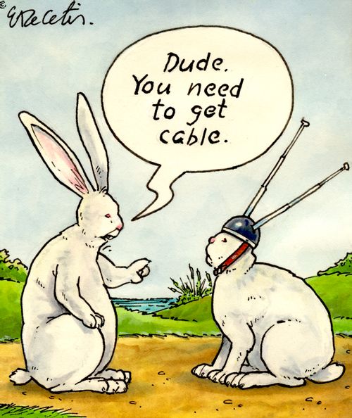 "Dude. You need to get cable."
