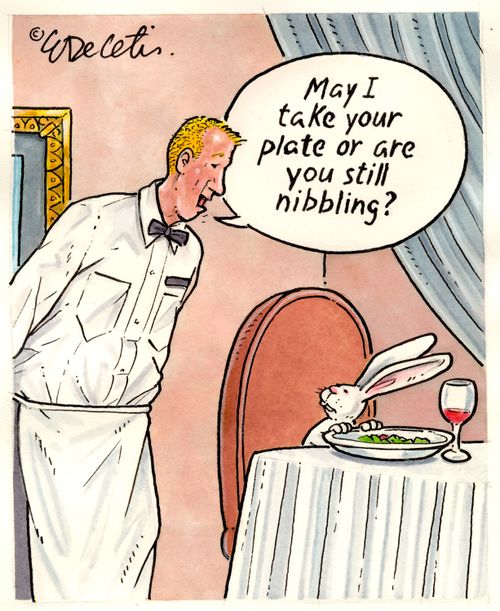 "May I take your plate or are you still nibbling?"