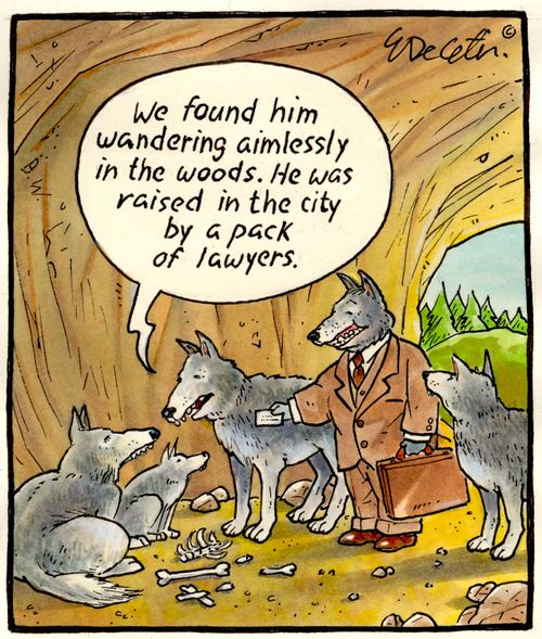 "We found him wandering aimlessly in the woods. He was raised in the city by a pack of lawyers."