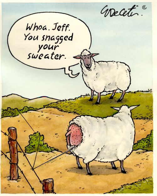 "Whoa. Jeff. You snagged your sweater."