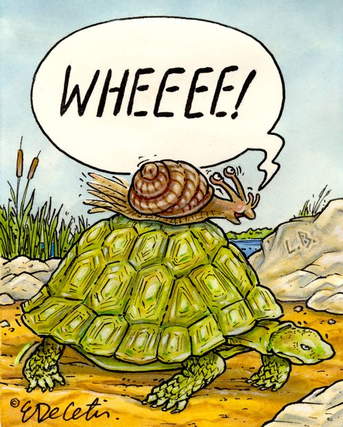 "WHEEEE!"