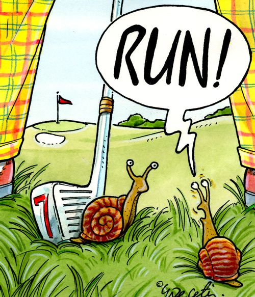"RUN!"