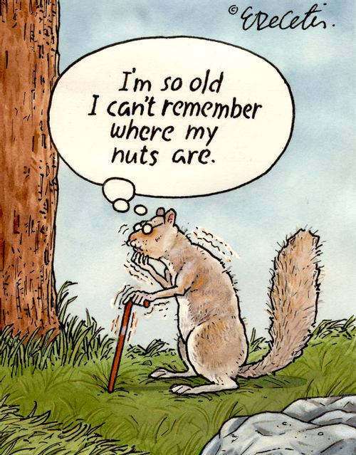 "I'm so old I can't remember where my nuts are."