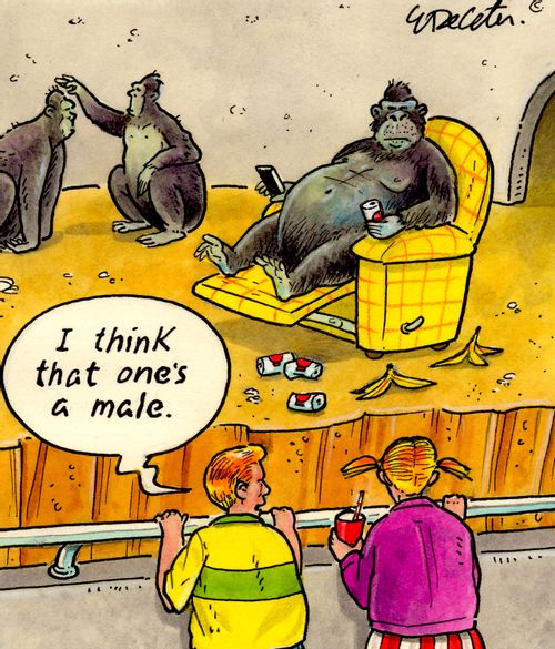 "I think that one's a male."