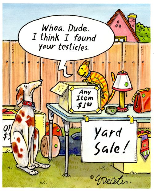 "Whoa. Dude. I think I found your testicles."