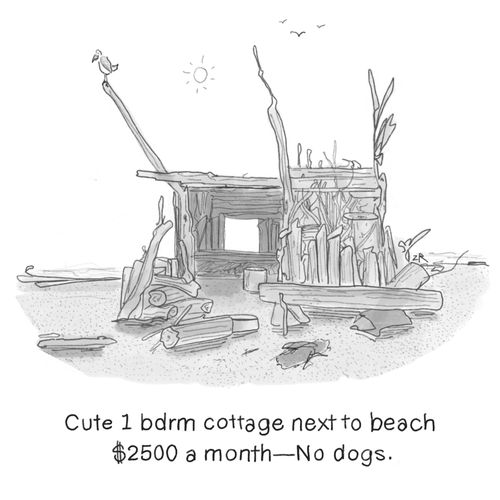 Cute 1 bdrm cottage next to beach $2500 a month - No dogs.