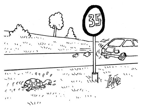 A tortoise running along the side of the road, panting.