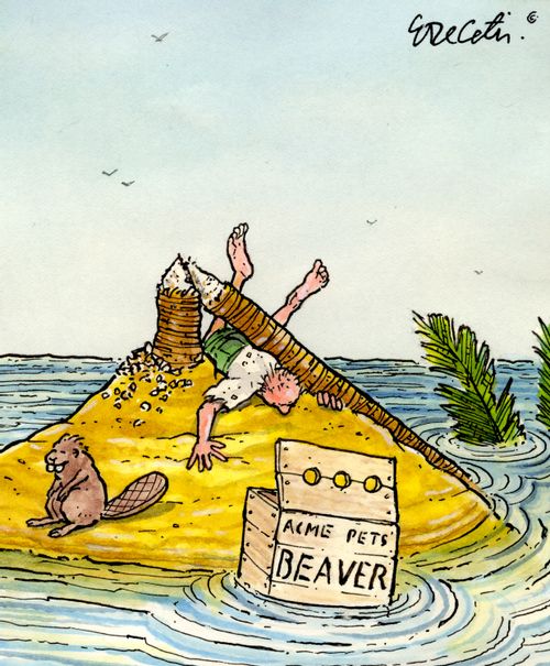 ACME Pets: Beaver