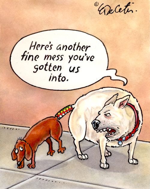"Here's another fine mess you've gotten us into."