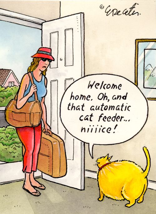 "Welcome home. Oh, and that automatic cat feeder... niiiice!"