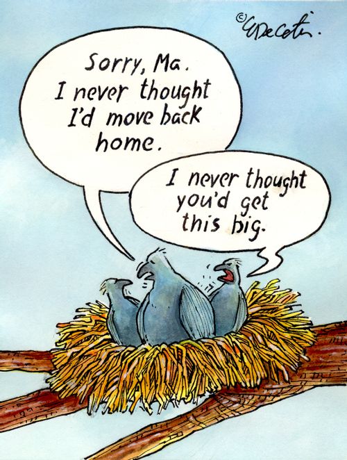 "Sorry, Ma. I never thought I'd move back home."