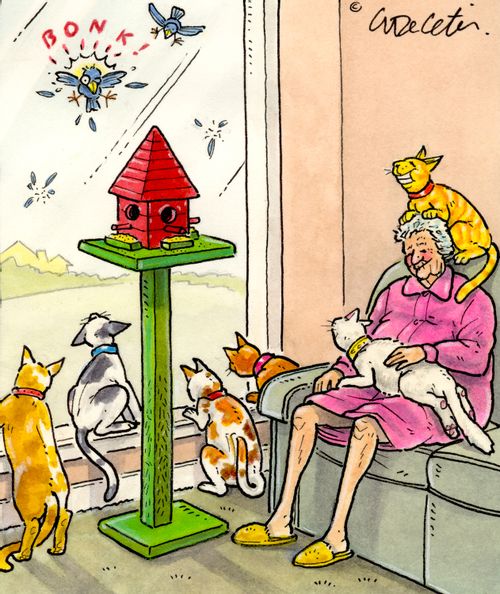 A bird tries to fly through a window to a bird house which is in a living room.