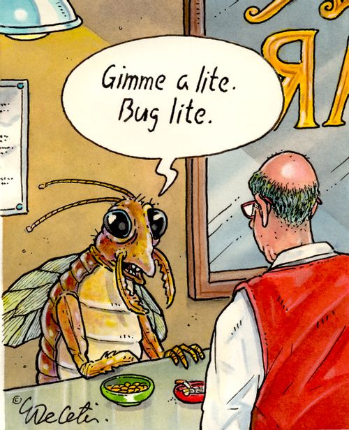 "Gimme a lite. Bug Lite."