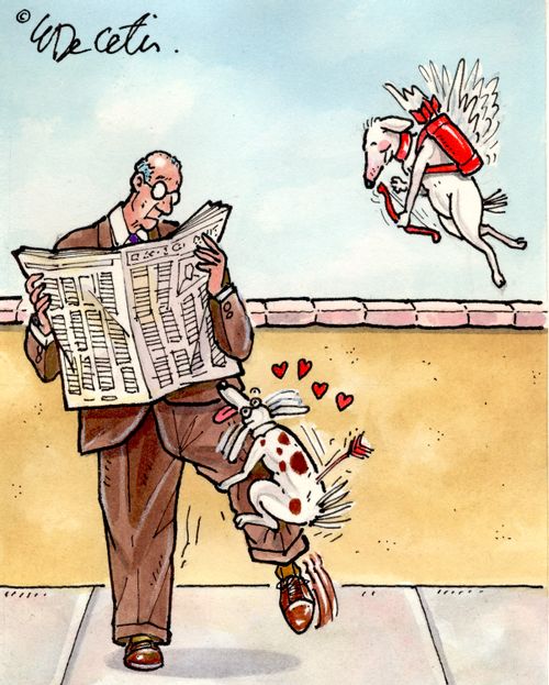 A dog cupid flies an arrow after a dog jumping on a random man's leg.
