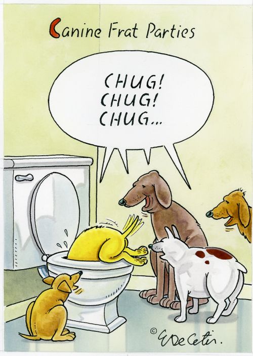 Canine Frat Parties