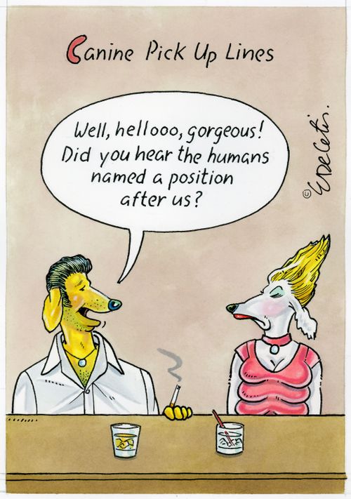 "Well, hellooo gorgeous! Did you hear the humans named a position after us?"