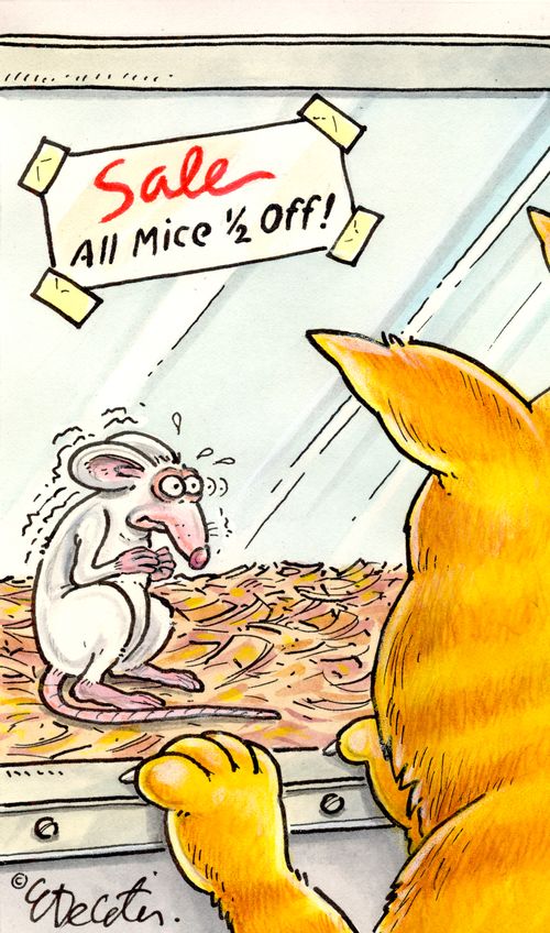 Sale: All mice 1/2 off!