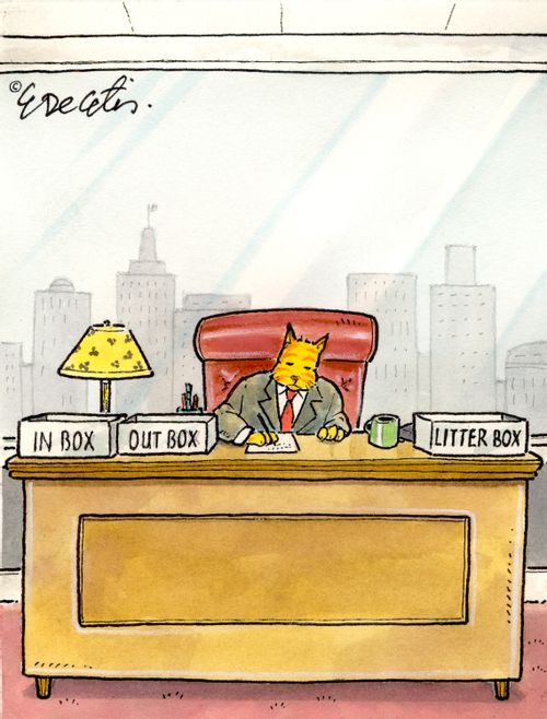On his desk, a cat has an in box, out box and litter box.