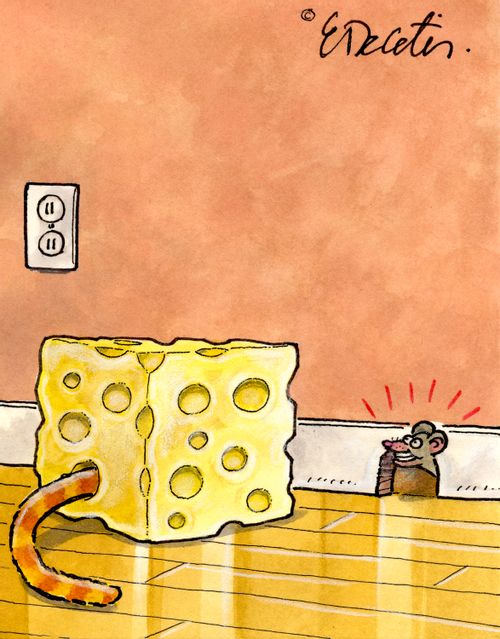 A cat is hiding in a block of cheese to lure a mouse out of its hole.