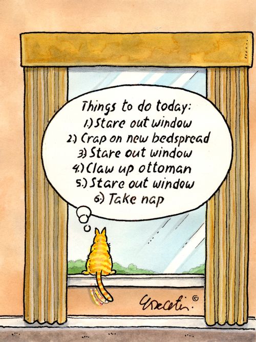 "Things to do today: 1) stare out window 2) crap on new bedspread 3) stare out window 4) claw up ottoman 5) stare out window 6) take nap."