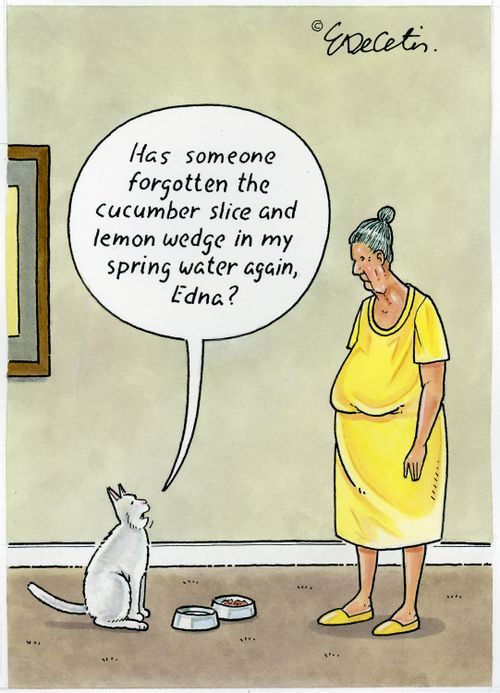 "Has someone forgotten the cucumber slice and lemon wedge in my spring water again, Edna?"