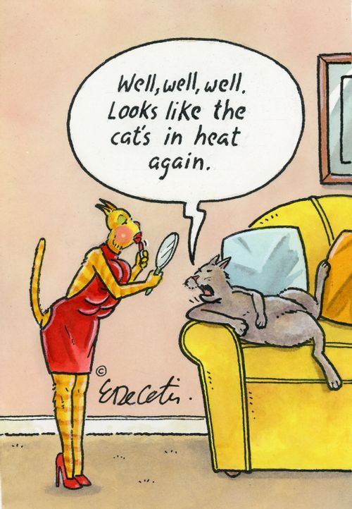"Well, well, well. Looks like the cat's in heat again."