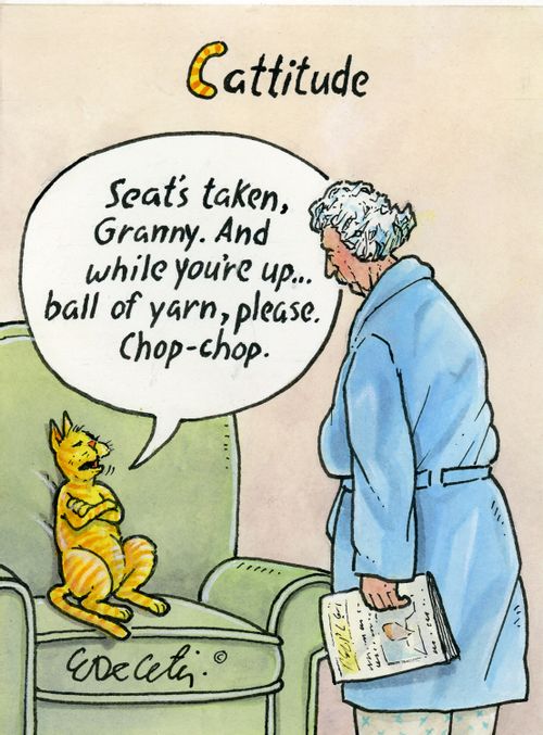 Cattitude