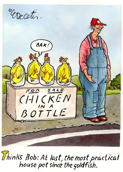 Thinks Bob: At last, the most practical house pet since the goldfish.