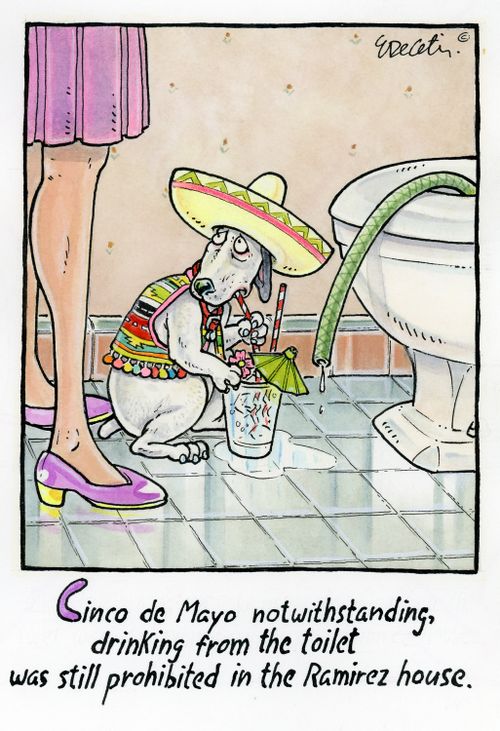 Cinco de Mayo notwithstanding, drinking from the toilet was still prohibited in the Ramirez house.