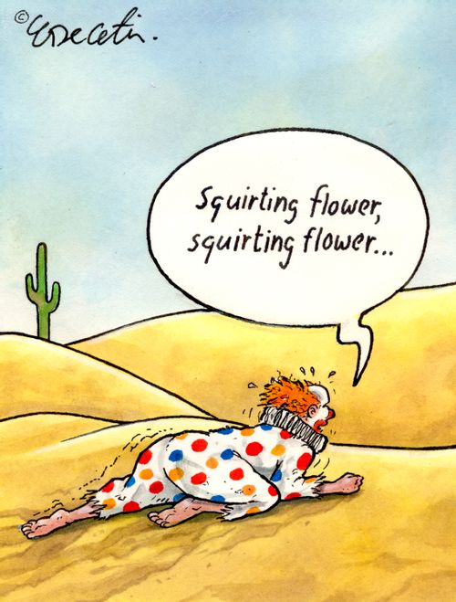 "Squirting flower, squirting flower...."