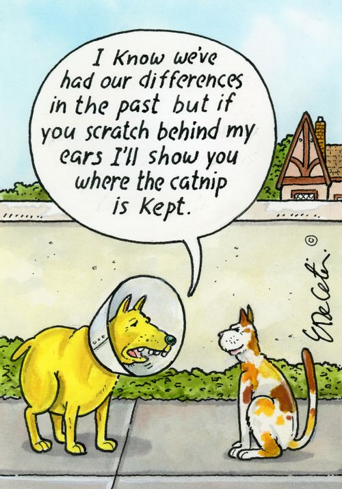 "I know we've had our differences in the past but if you scratch behind my ears I'll show you where the catnip is kept."