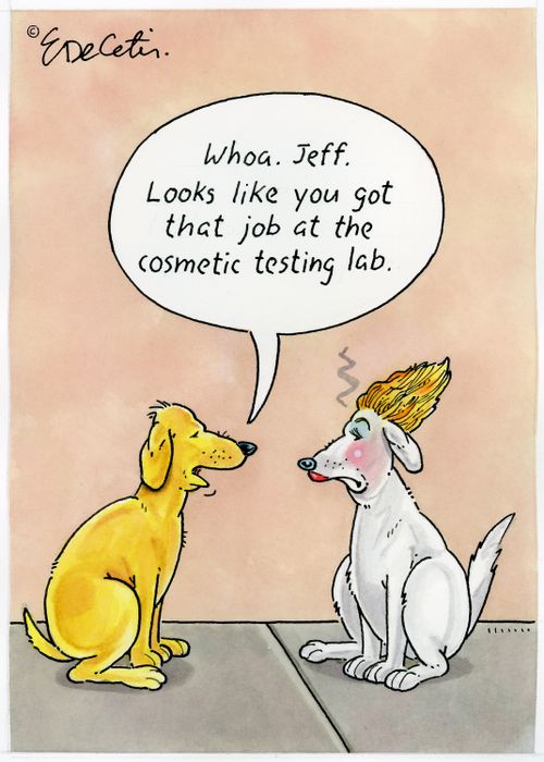 "Whoa. Jeff. Looks like you got that job at the cosmetic testing lab."