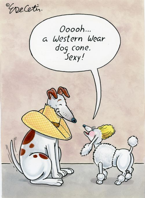 "Oooooh....a western wear dog cone. Sexy!"