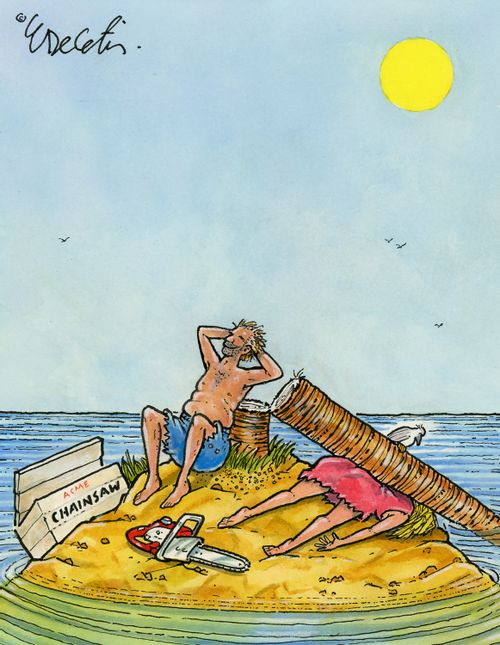 Desert Island Mishap