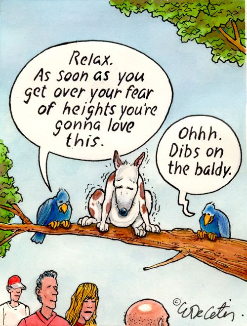 "Relax. As soon as you get over your fear of heights you're gonna love this."