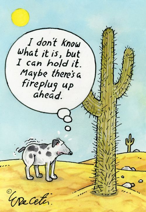 "I don't know what it is, but I can hold it. Maybe there's a fireplug up ahead."