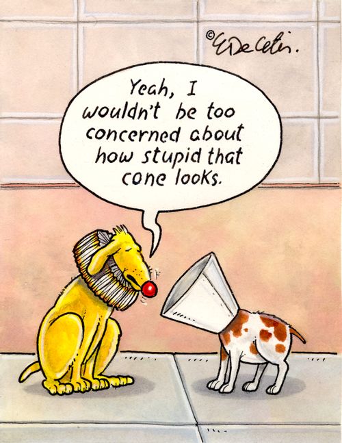 "Yeah, I wouldn't be too concerned about how stupid that cone looks."