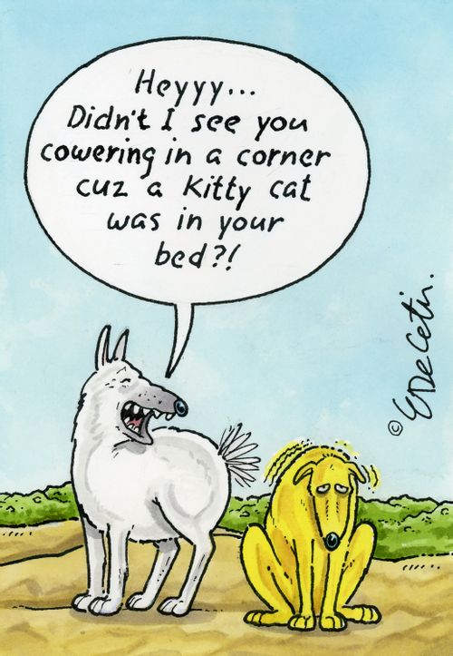"Heyy....Didn't I see you cowering in a corner cuz a kitty cat was in your bed?!"