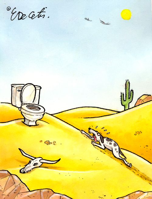 A dog is crawling towards a toilet in the middle of the desert.