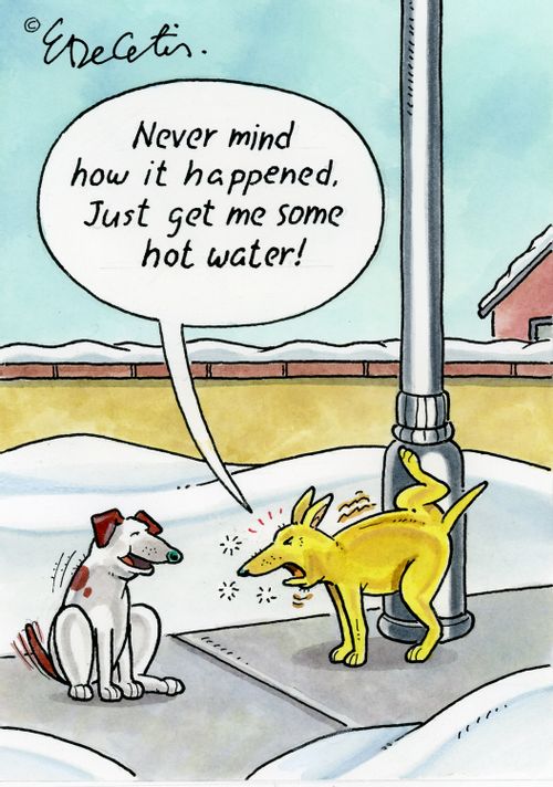 "Never mind how it happened. Just get me some hot water!"