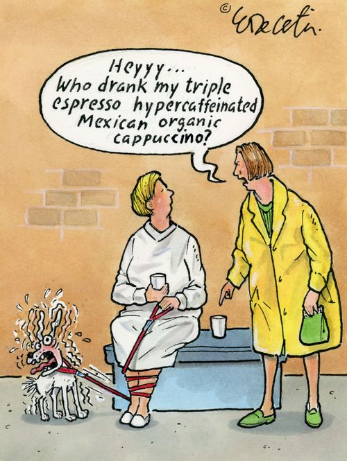 "Heyyy... who drank my triple espresso hypercaffineated Mexican organic cappuccino?"