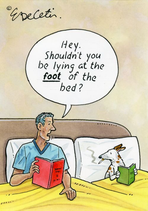 "Hey. Shouldn't you be lying at the FOOT of the bed?"