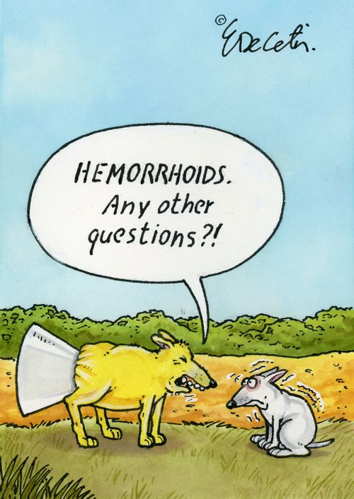 "Hemorrhoids. Any other questions?!"