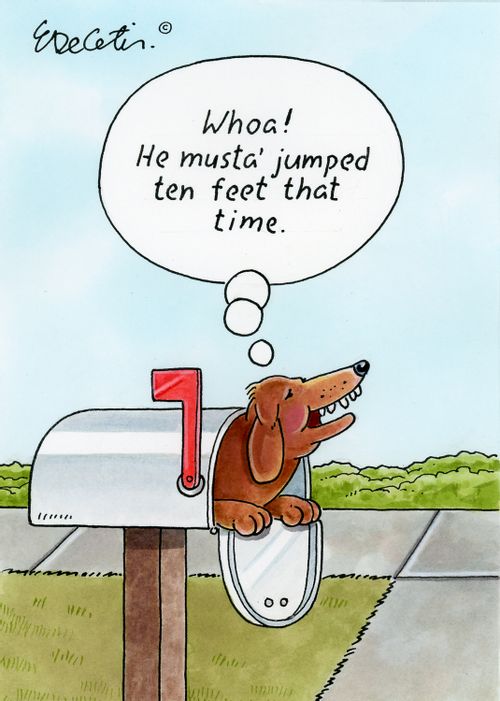 "Whoa! He musta' jumped ten feet that time."