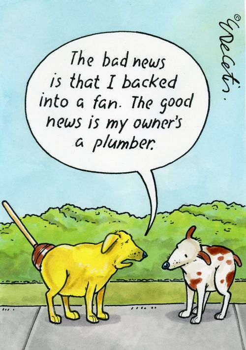 "The bad news is that I backed into a fan. The good news is my owner's a plumber."