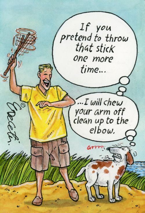 "If you pretend to throw that stick one more time...I will chew your arm off clean to the elbow."