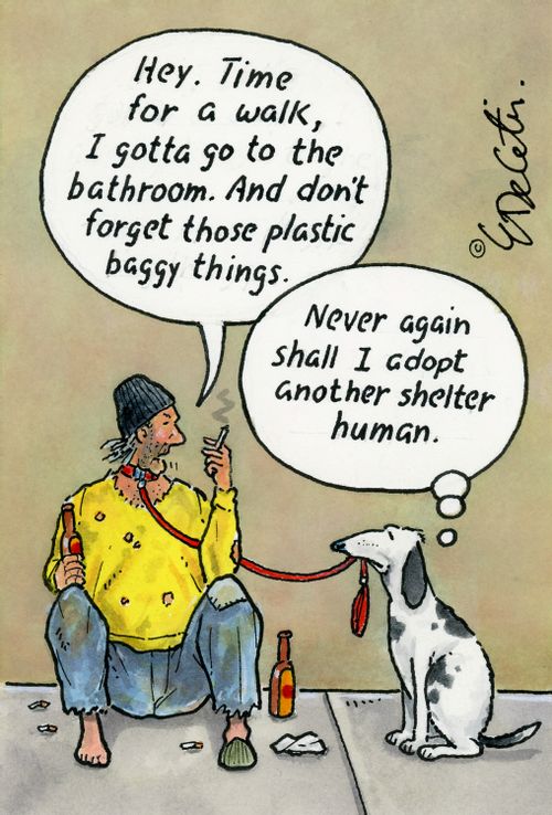 "Hey. Time for a walk, I gotta go to the bathroom. And don't forget those plastic baggy things."